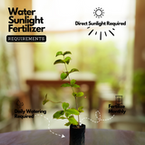 Allamanda Biscuit / Common Trumpet Vine (Allamanda cathartica) Flowering/Ornamental Live Plant (Home & Garden)