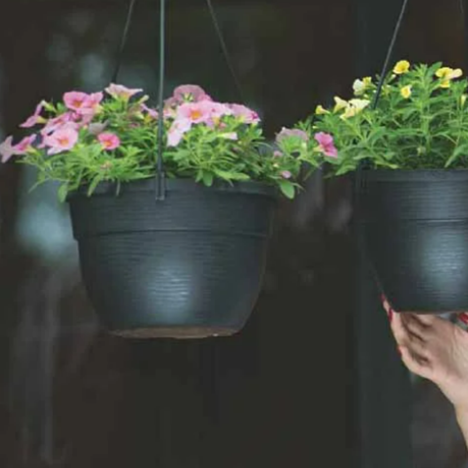 Hug A Plant | Corsica Hanging 20CM Plastic Pot for Home & Garden (Pack of 1)