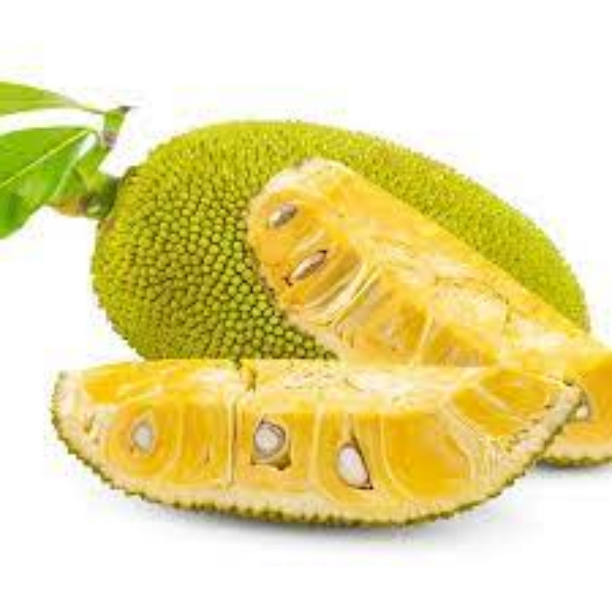 J33 Jackfruit(Artocarpus heterophyllus)Live Plants(Home & Garden)