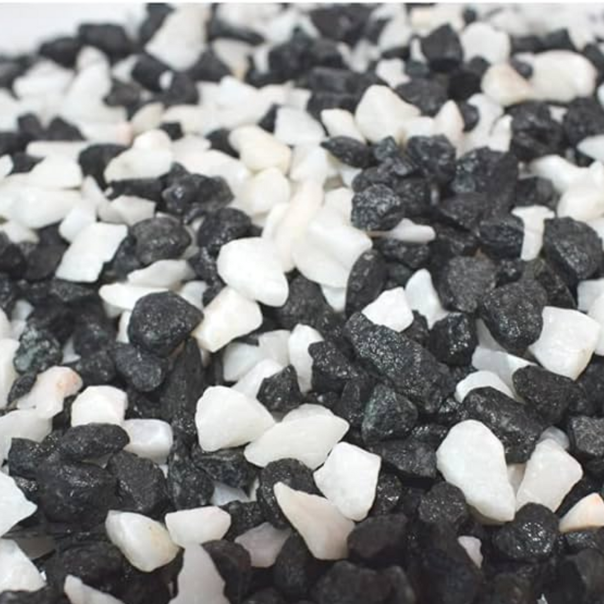 Black and White Mixed Marble Chip Pebbles for Decoration |Garden|Table|Terrariums| Home Decor|Vase Fillers