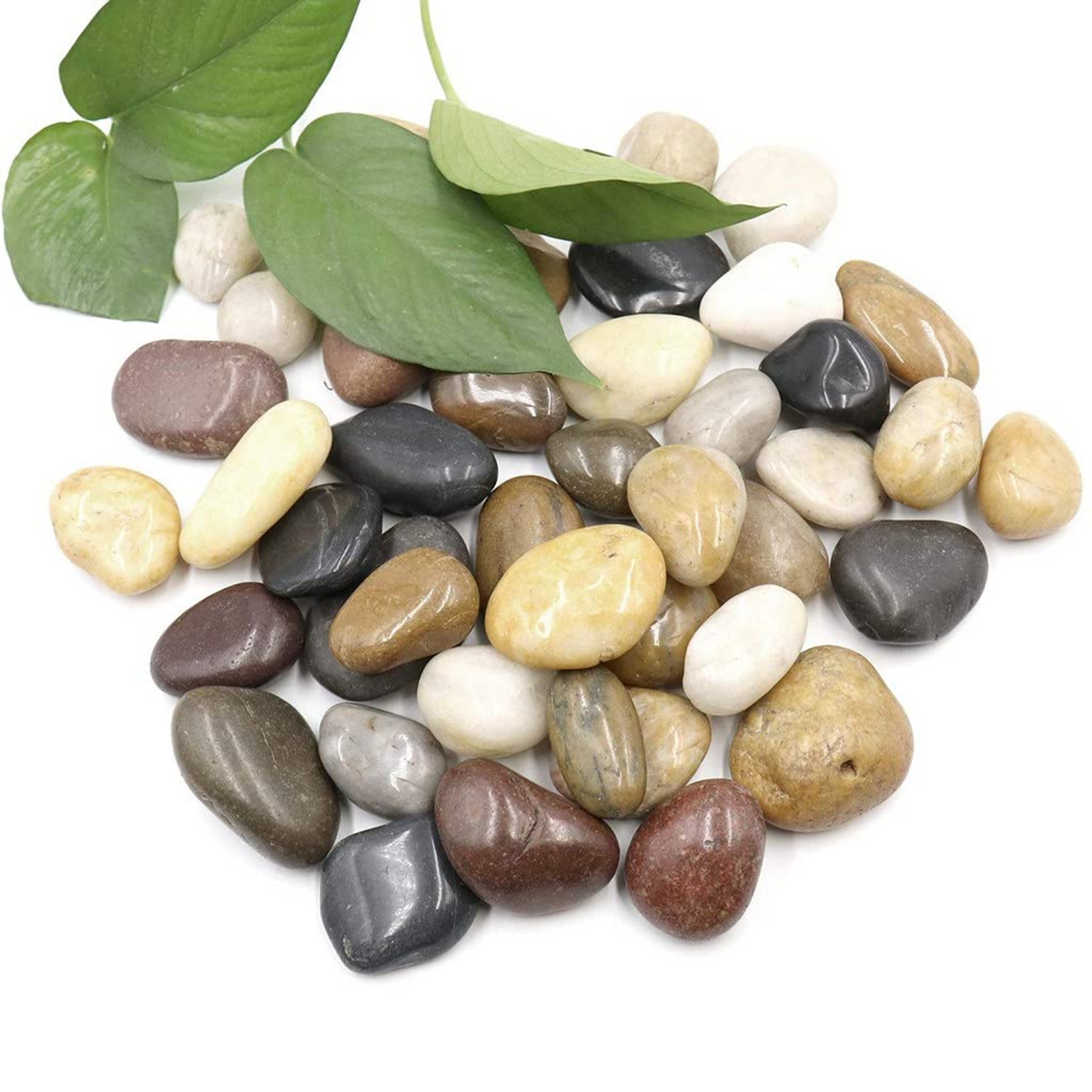 Kaju Polished Mixed Pebbles for Decoration |Garden|Table|Terrariums| Home Decor|Vase Fillers