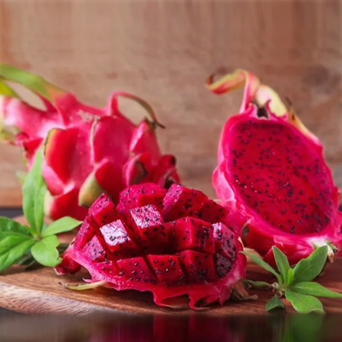 Dragon Fruit (Pink Flesh) (Selenicereus Undatus) Rooted Cuttings Seedling Fruit Plant (Home & Garden Plants)