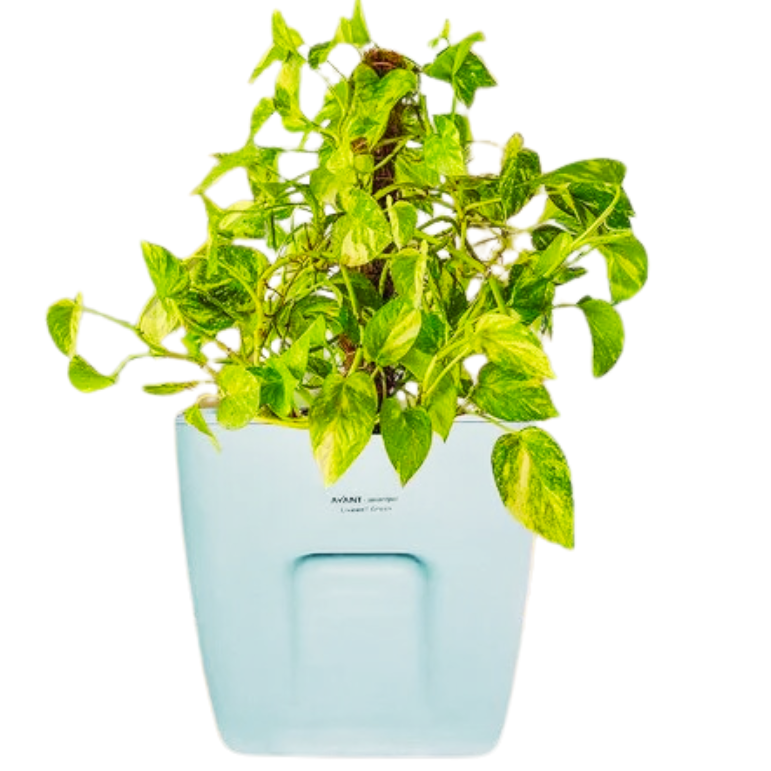 Hug A Plant | Smart Pot 25 litre Self-watering White Pot for Home & Garden