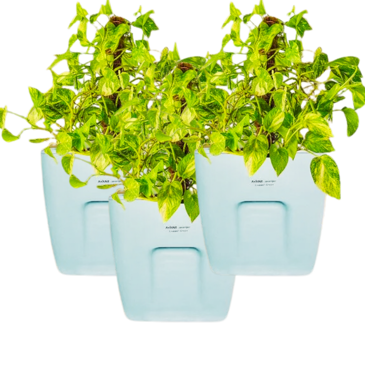 Hug A Plant | Smart Pot 25 litre Self-watering White Pot for Home & Garden