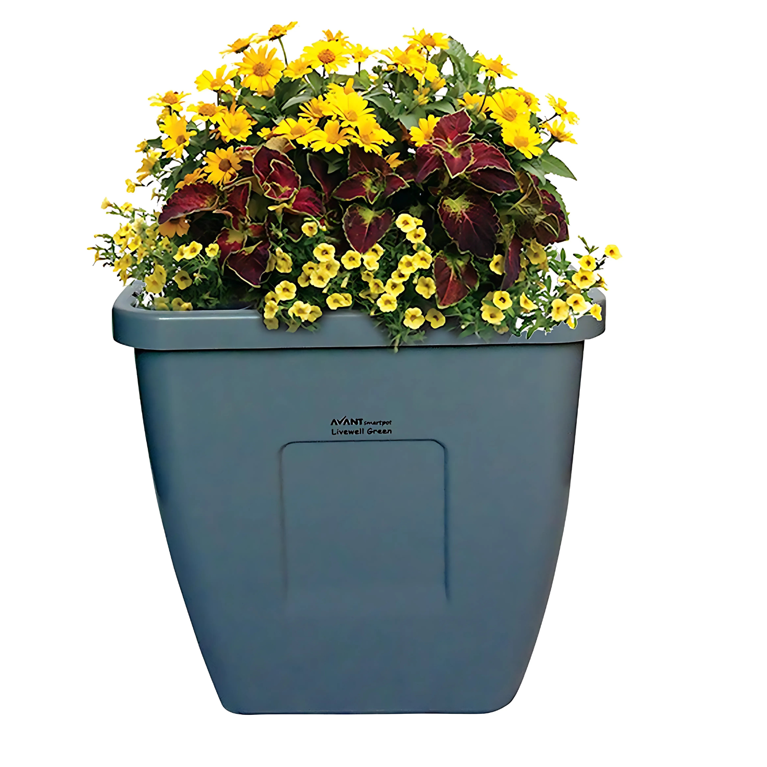 Hug A Plant | Smart Pot 10 litre Self-watering Pot for Home & Garden