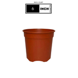 6 Inch Gro Pro Terracotta Plastic Pot for Home & Garden