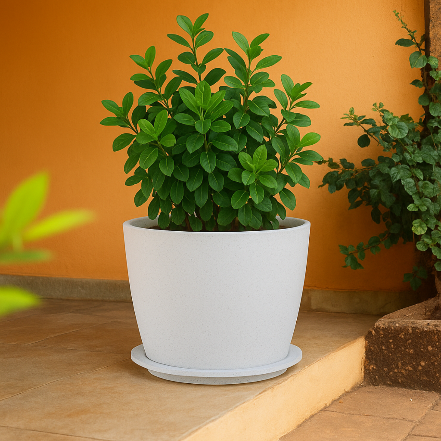 Nora Rotomolded  Pots And Tray for Home & Garden (Pack of 1)