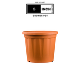 6 Inch Grower Plastic Pot Terracotta