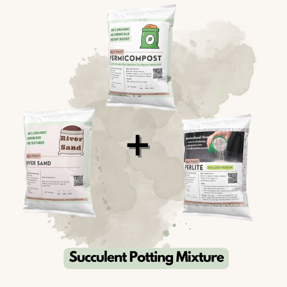 Hug A Plant : Succulent Potting Mixture For Plants