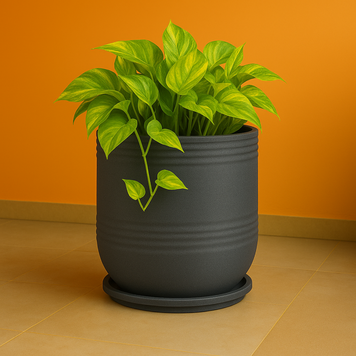 Mia Rotomolded  Pots And Tray for Home & Garden (Pack of 1)
