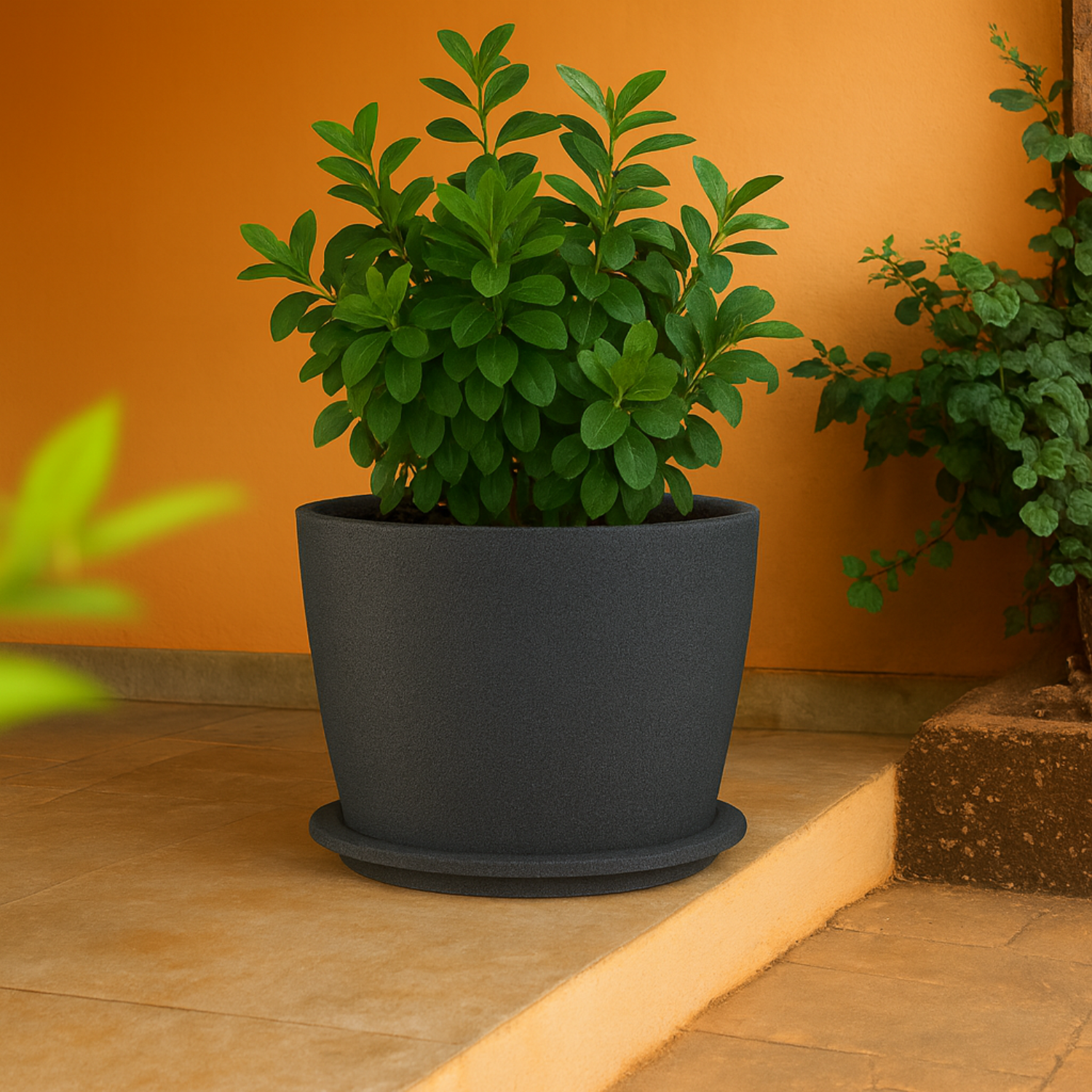 Nora Rotomolded  Pots And Tray for Home & Garden (Pack of 1)