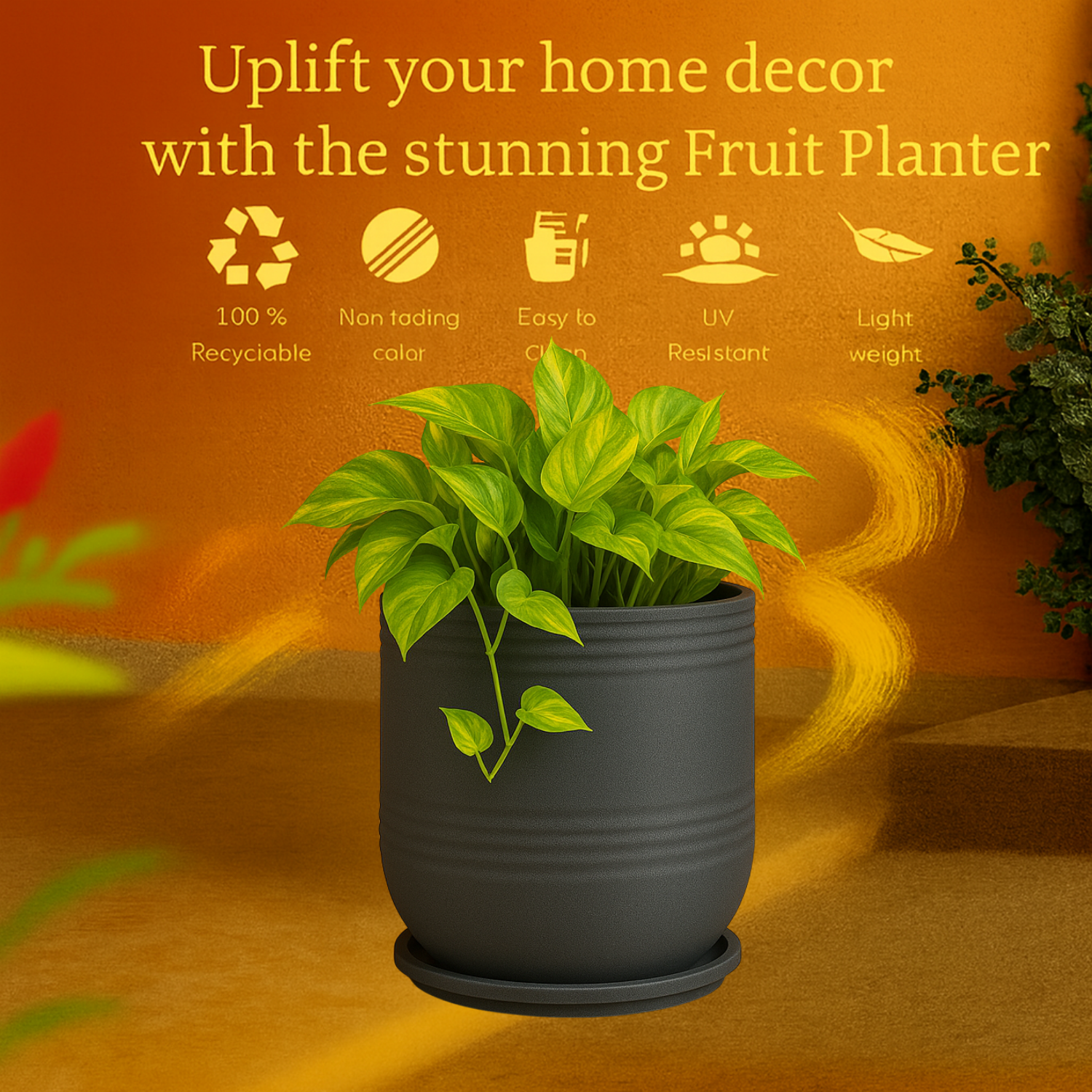 Mia Rotomolded  Pots And Tray for Home & Garden (Pack of 1)