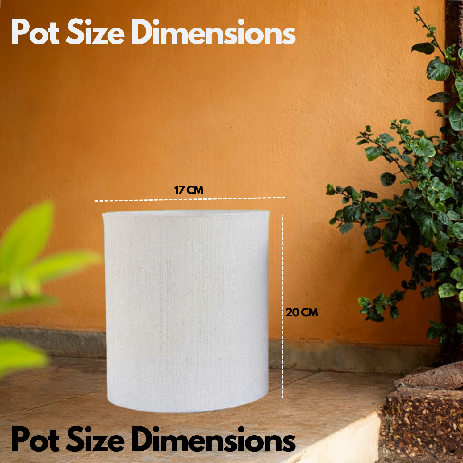 Dora Line  Rotomolded  Pot for Home & Garden (Pack of 1)