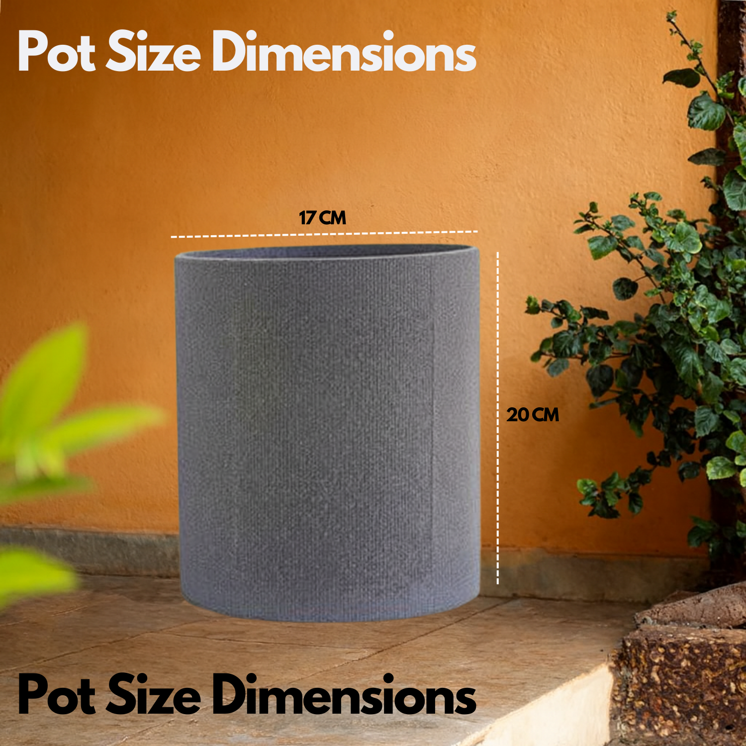 Dora Line  Rotomolded  Pot for Home & Garden (Pack of 1)