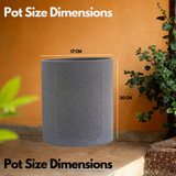 Dora Line  Rotomolded  Pot for Home & Garden (Pack of 1)