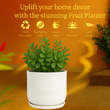 Mia Rotomolded  Pots And Tray for Home & Garden (Pack of 1)