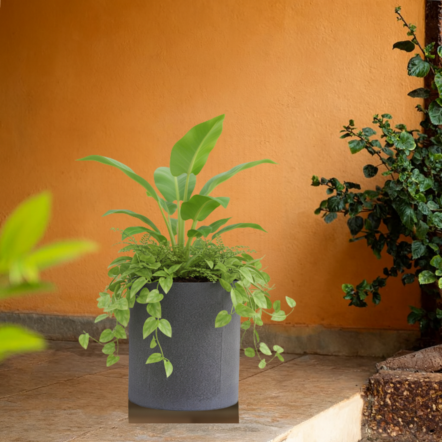 Dora Line  Rotomolded  Pot for Home & Garden (Pack of 1)
