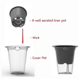 Mascot 10 Clear Round 5inch selfwatering Pot With Wick For Tabletop | Office | Indoor Garden | Home& Garden (5INCH | 13CM)