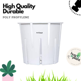 Hug A Plant | White Orchid Pot for Home & Garden