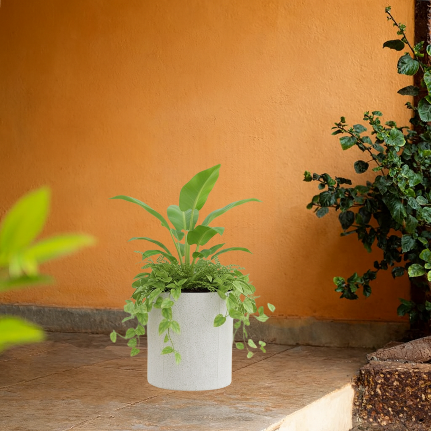Dora Line  Rotomolded  Pot for Home & Garden (Pack of 1)