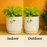 Mia Rotomolded  Pots And Tray for Home & Garden (Pack of 1)