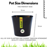 Hug A Plant Zen Pot (0.5L) Black colour for Home & Garden