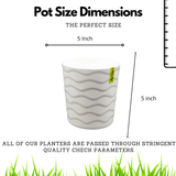 Hug A Plant Wave Pot(5 Inch) White colour for Home & Garden