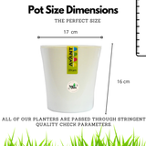 Hug A Plant Zen Pot (6.5 Inch) White colour for Home & Garden