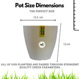 Hug A Plant | Smart Pot Ronde (1L)for Home & Garden