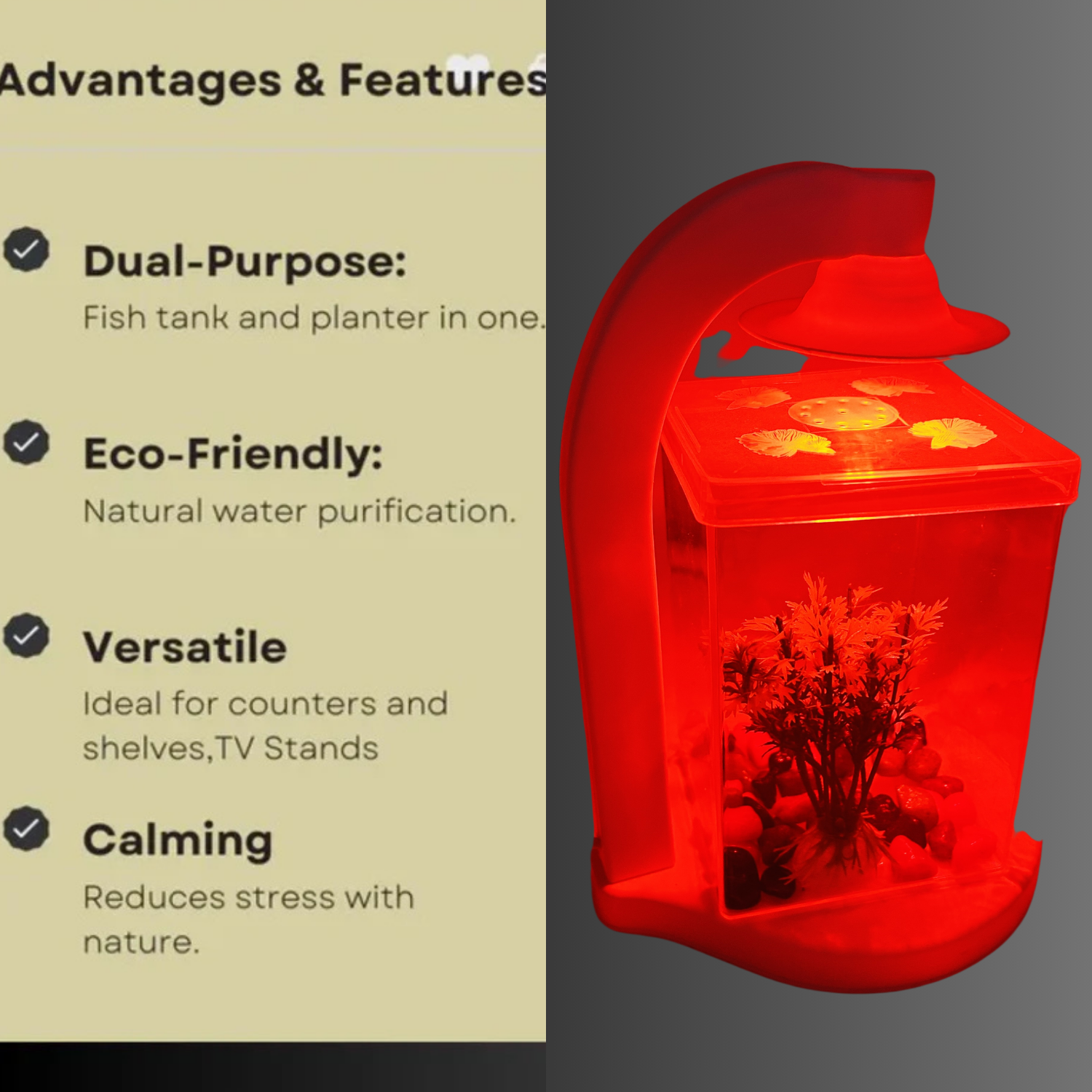 Hug A Plant | Betta Fish Tank - Mini Aquarium (Square Light lluminated)