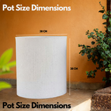 Dora Rotomolded  Pot for Home & Garden (Pack of 1)