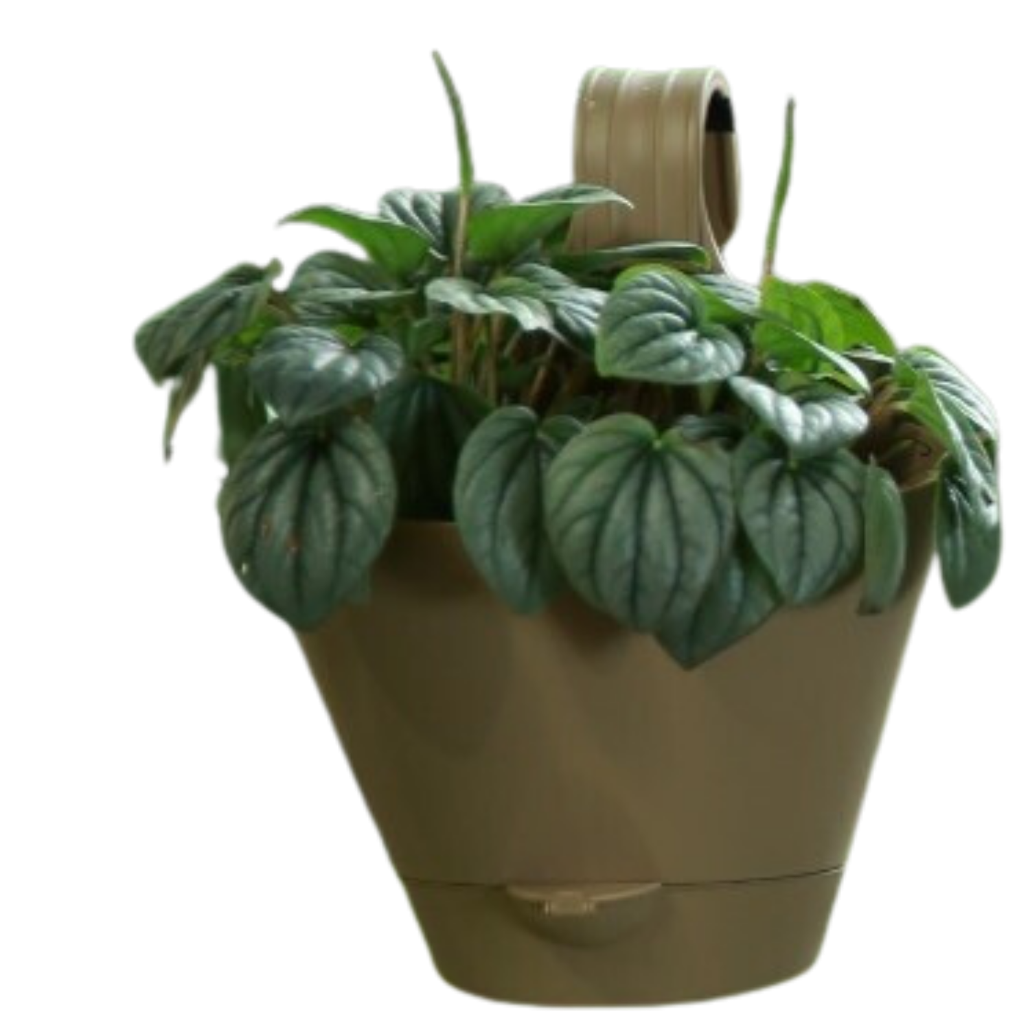 Hug A Plant Huka 22 cm Hook Pot For Home & Garden