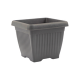 Hug A Plant |Bello Square 20CM Plastic Pot for Home & Garden (Pack of 1)