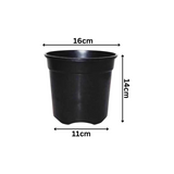 6 Inch Gro Pro Black Plastic Pot for Home & Garden