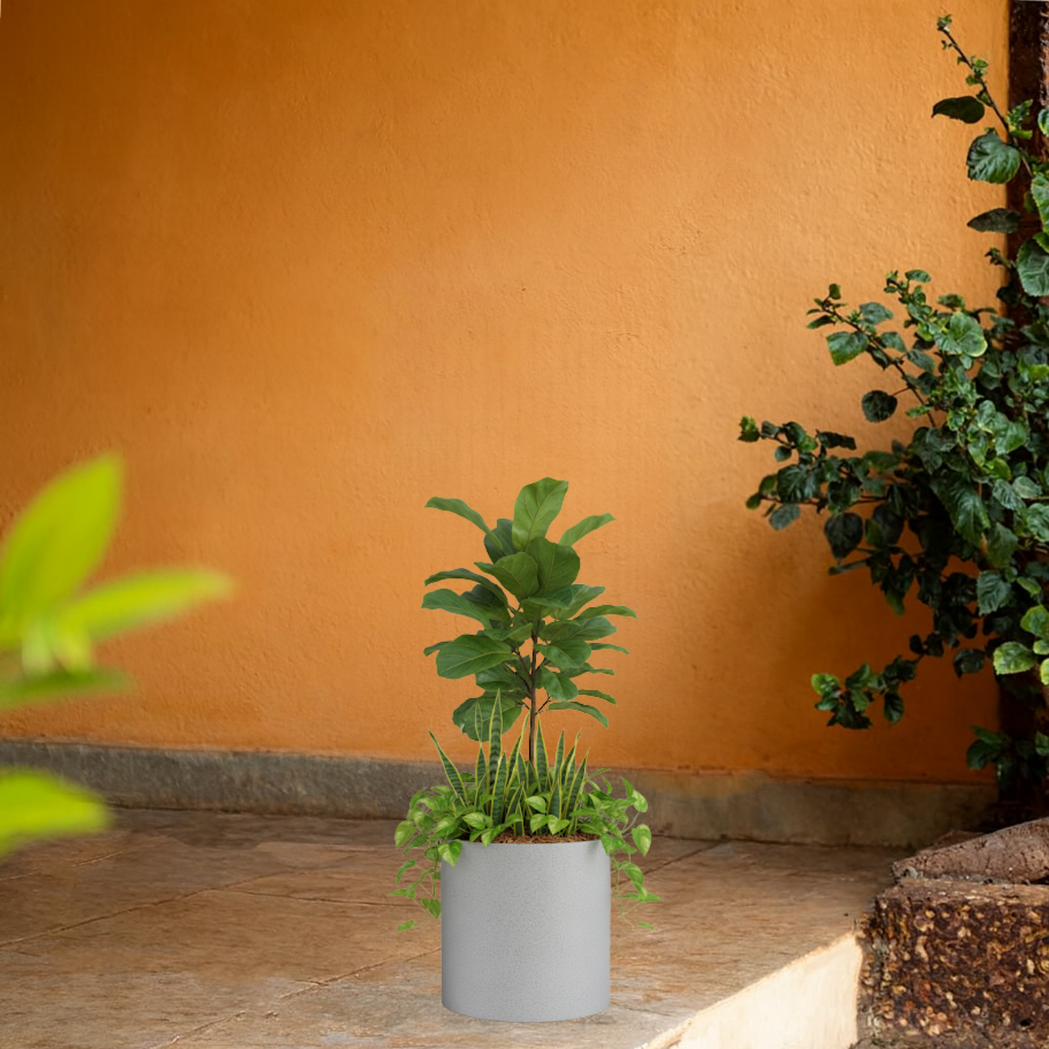 Dora Rotomolded  Pot for Home & Garden (Pack of 1)