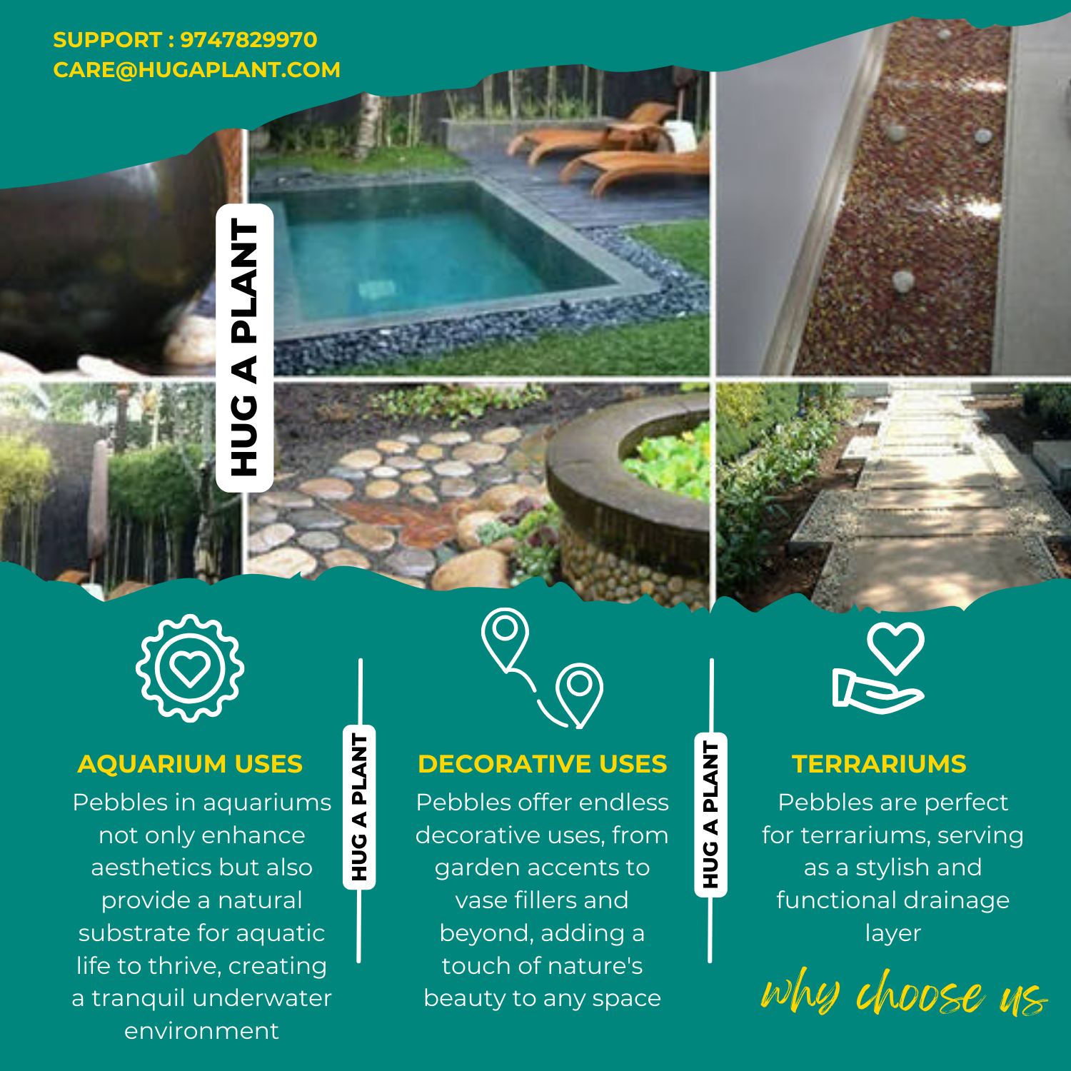 Pista Green Painted Pebbles for Decoration |Garden|Table|Terrariums| Home Decor|Vase Fillers