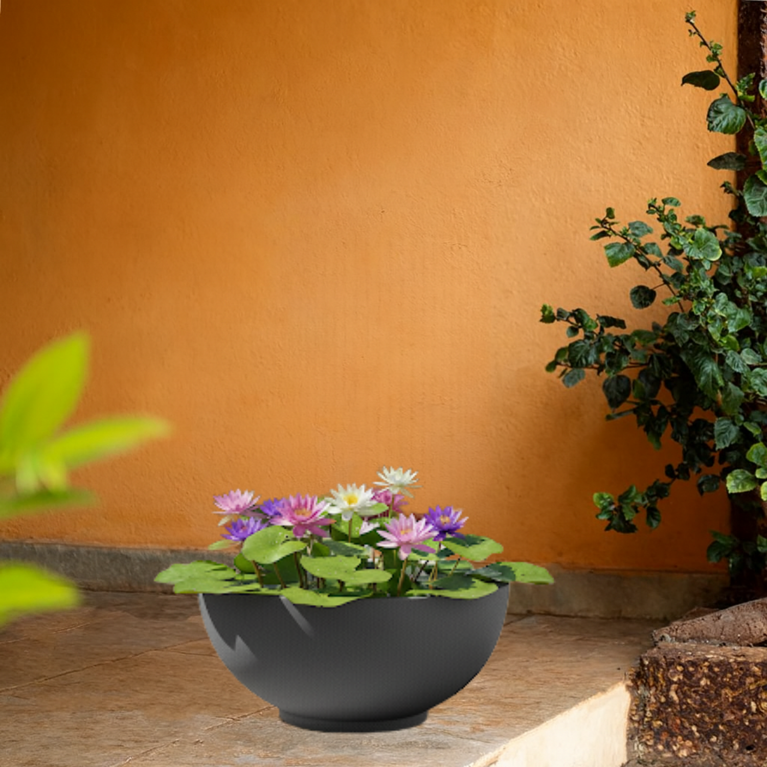 Lilly Rotomolded  Pot for Home & Garden (Pack of 1)