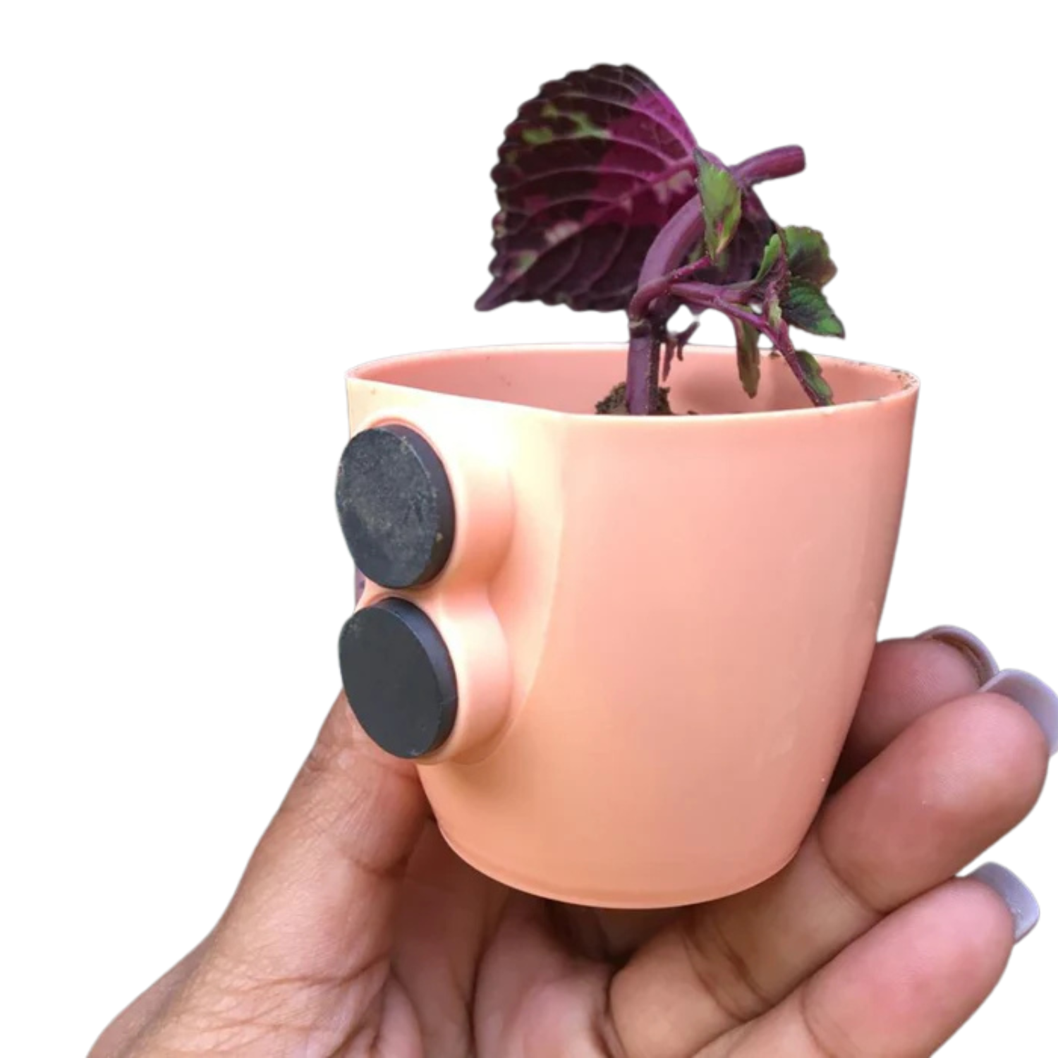 Valencia Magnet Small Plastic Pot to Create Vibrant  Spaces