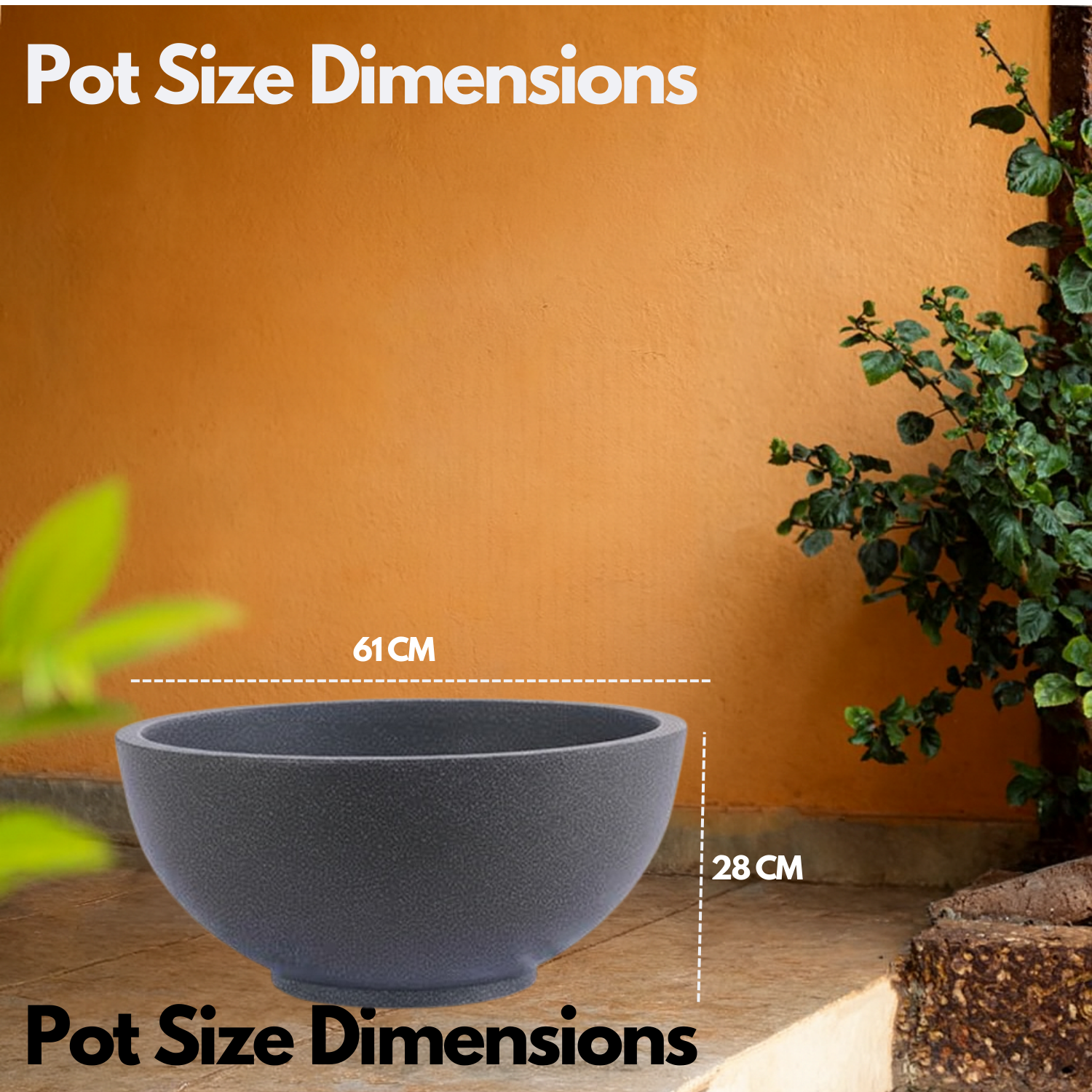 Lilly Rotomolded  Pot for Home & Garden (Pack of 1)