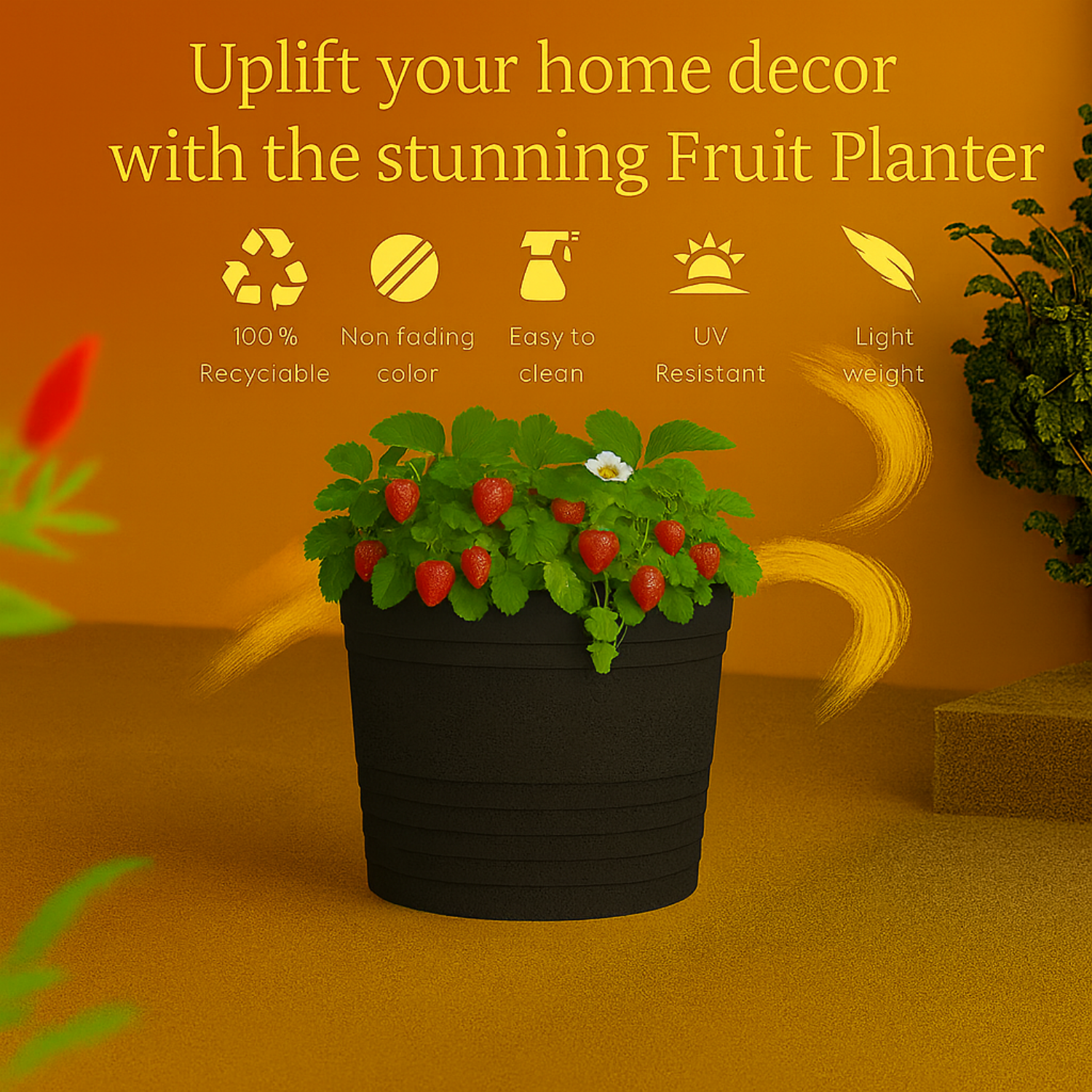 Fruit Rotomolded Pots for Home & Garden (Pack of 1)