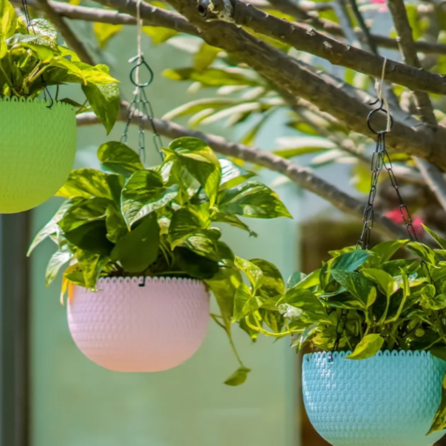 Capri 20cm Round Hanging Planter