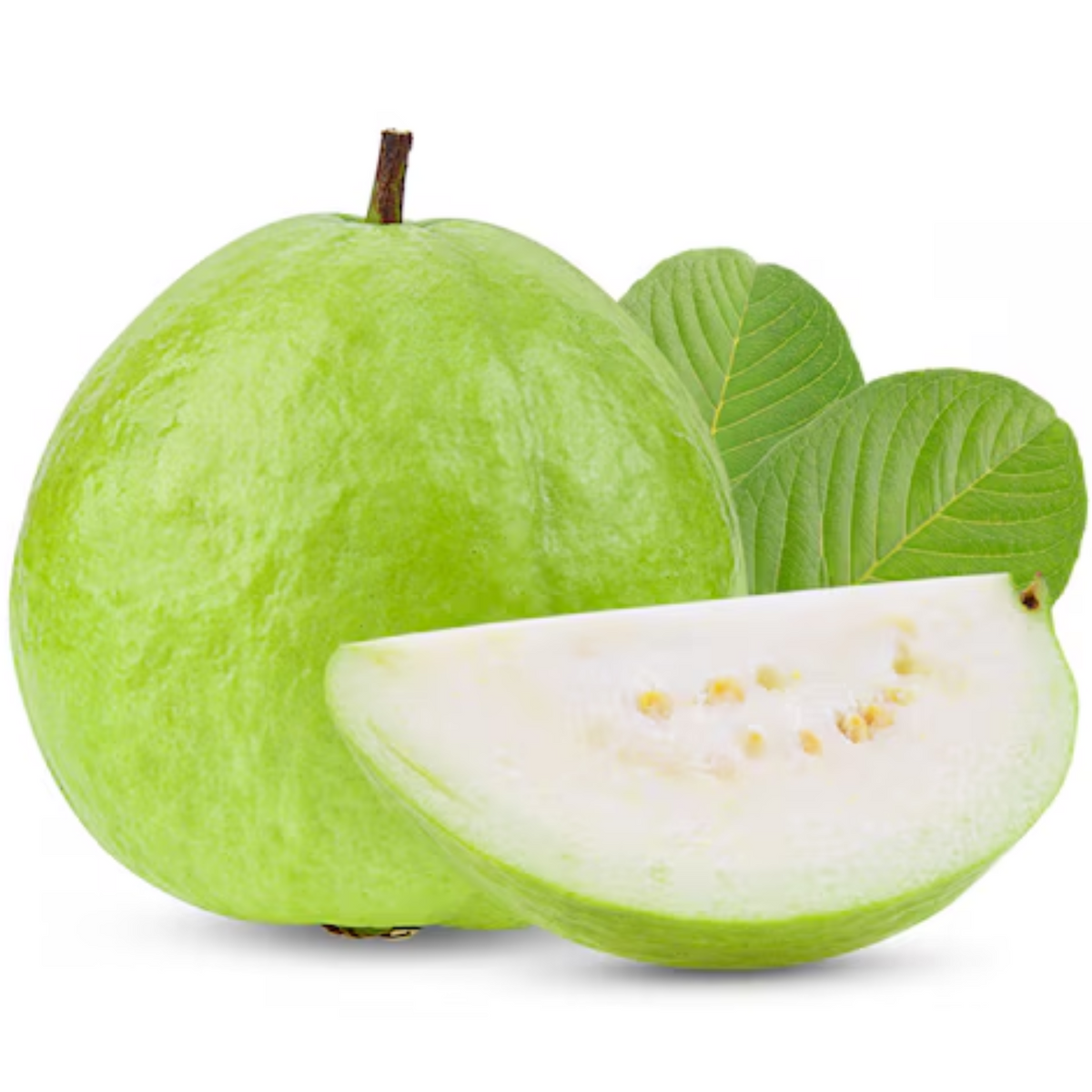 Kilo Pera(Giant Guava)Fruit Live Plant (Home & Garden)