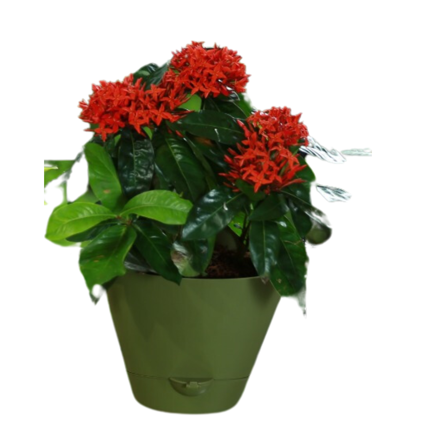 Hug A Plant Huka 22 cm Hook Pot For Home & Garden