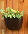 Mounta 29 - Vertical Garden Pots (Indoor & Outdoor) - Self Watering