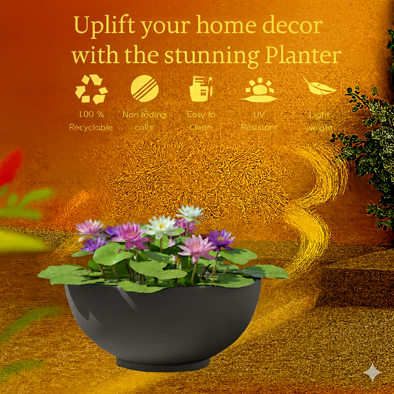 Lilly Rotomolded  Pot for Home & Garden (Pack of 1)