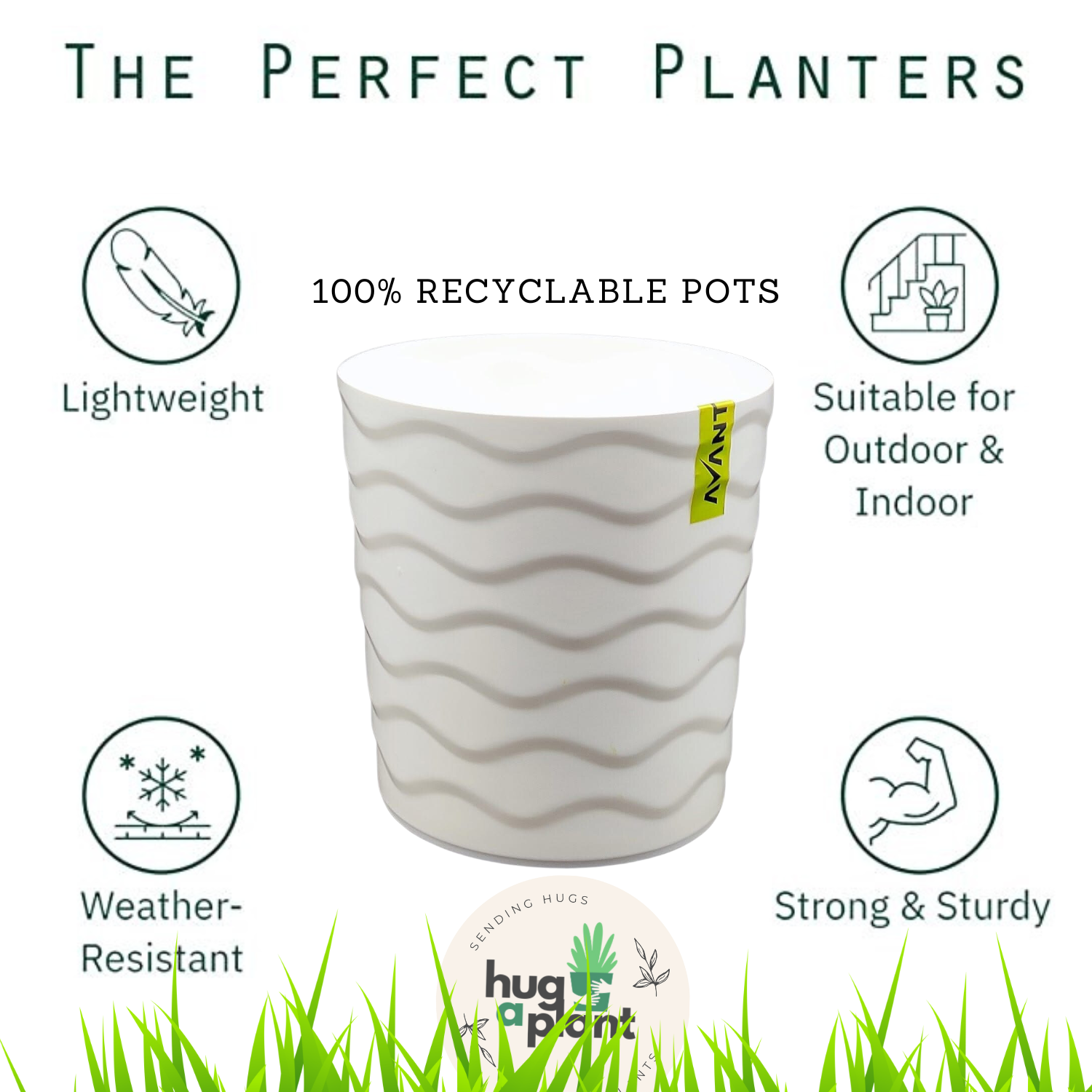 Hug A Plant Wave Pot(5 Inch) White colour for Home & Garden