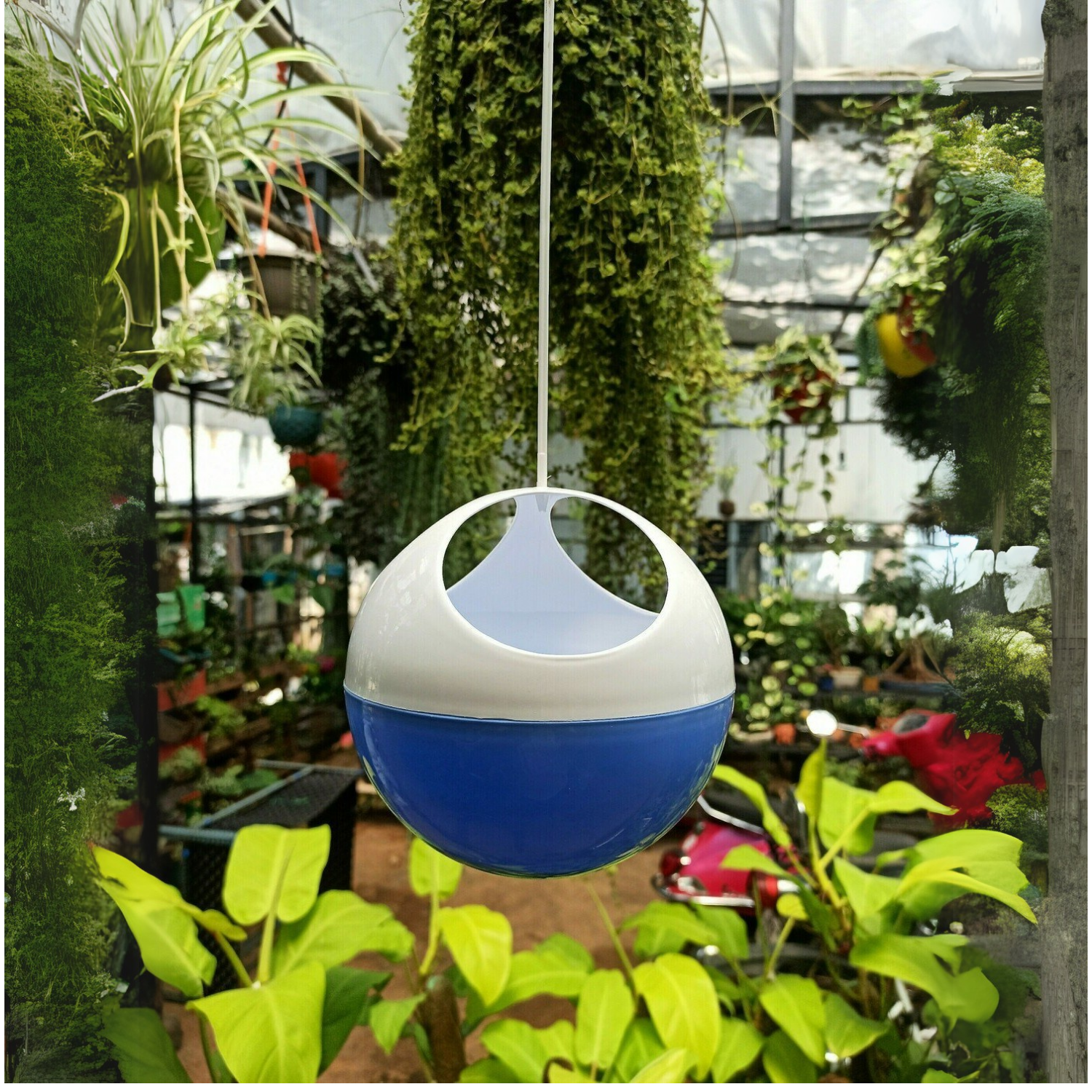 Hug A Plant | ORB Self watering Pot for Home & Garden