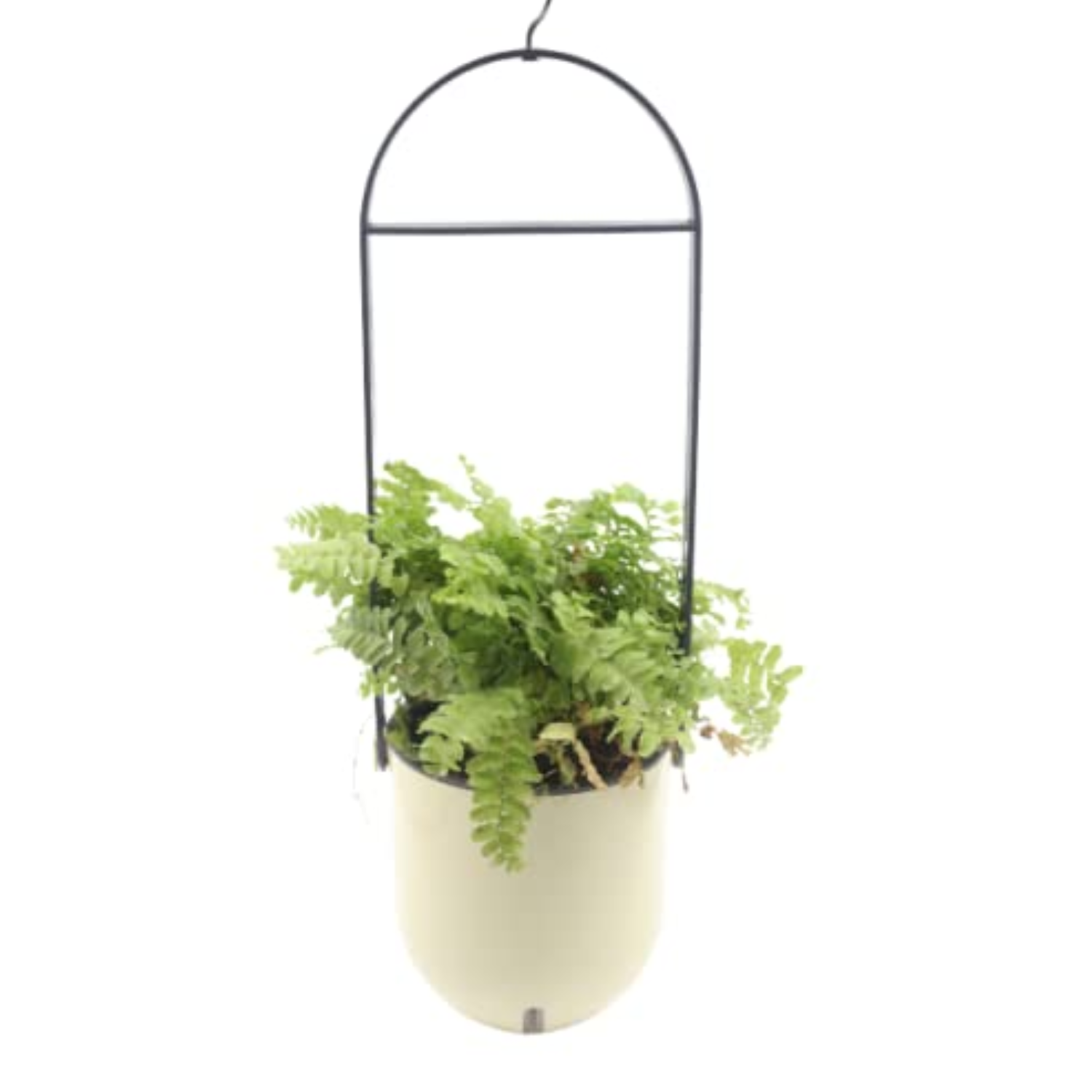 Sphere Selfwatering Hanging Flower Pot/Indoor Outdoor Plant Pot | Hanging Planter for Plants (Home & Garden)