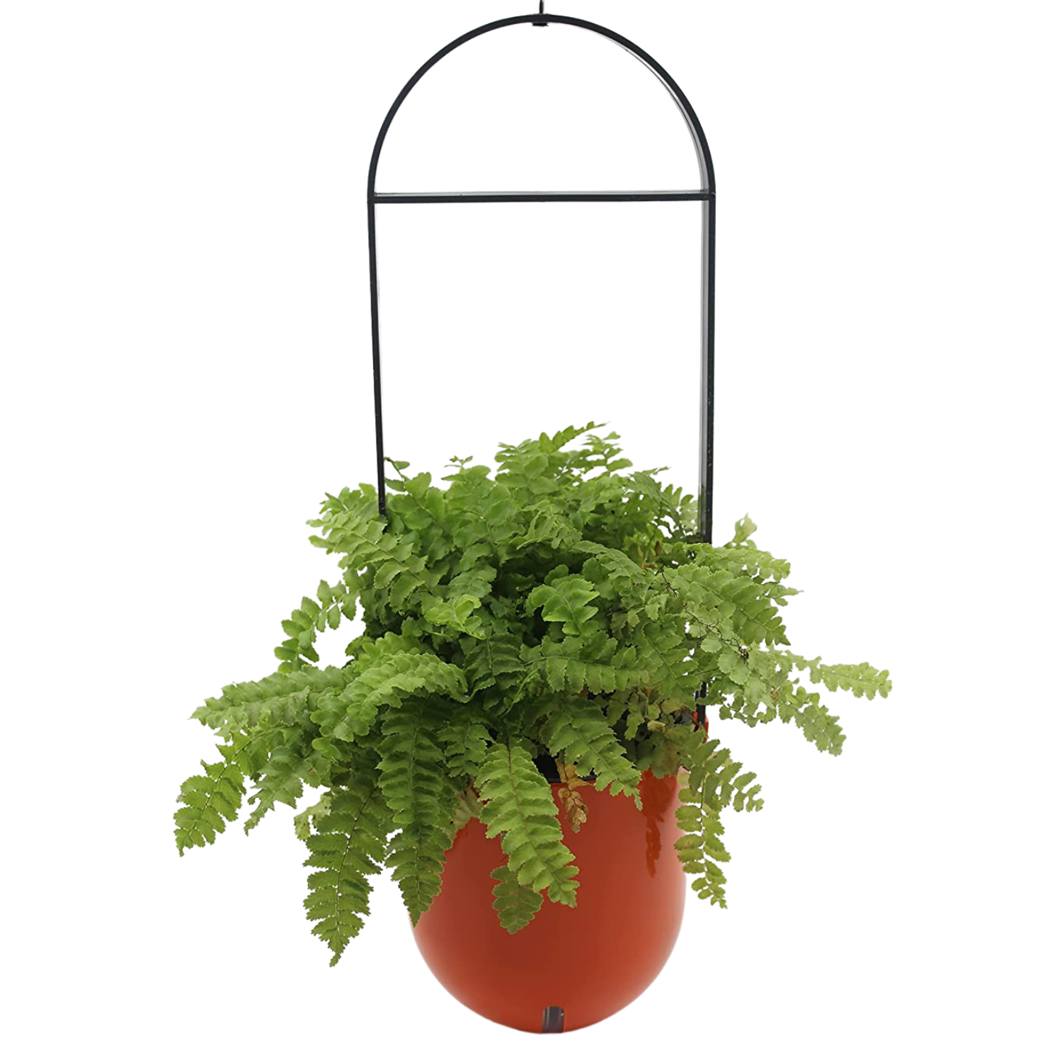 Sphere Selfwatering Hanging Flower Pot/Indoor Outdoor Plant Pot | Hanging Planter for Plants (Home & Garden)