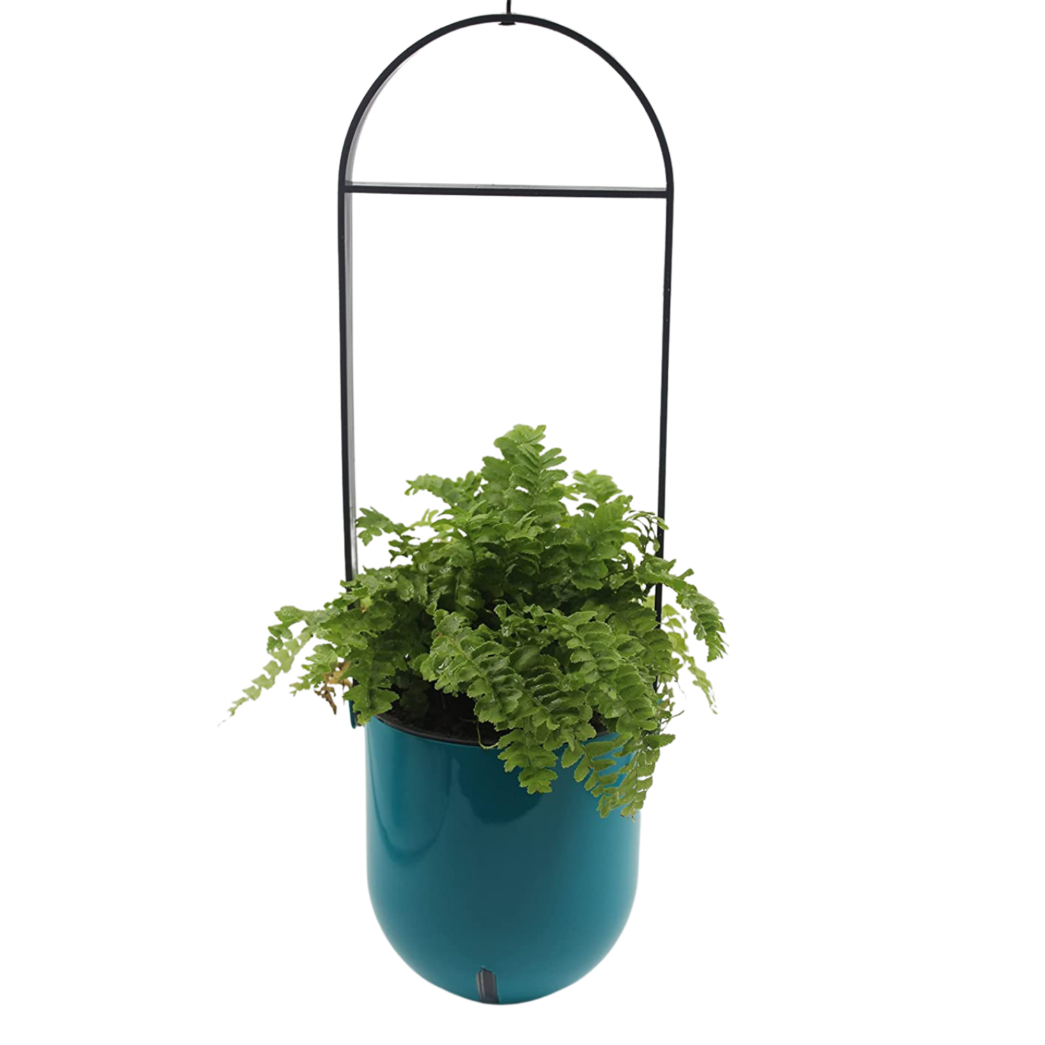 Sphere Selfwatering Hanging Flower Pot/Indoor Outdoor Plant Pot | Hanging Planter for Plants (Home & Garden)